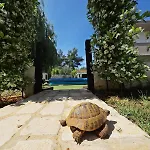 Mirakul Apartamento *