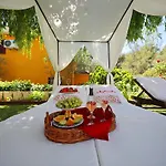Mirakul Apartamento