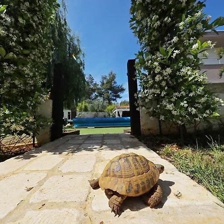 Mirakul アパート *